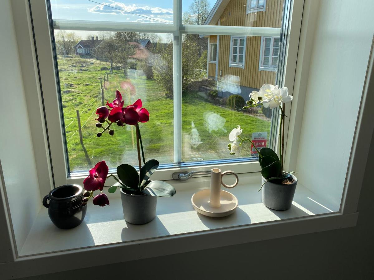 Skog Fegen Naera Ullared Villa Eksteriør billede